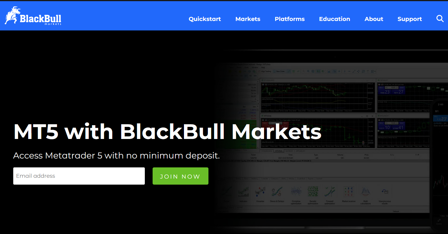 BlackBull Markets Website mit Infos zum MT5